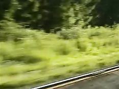 Большая шишка