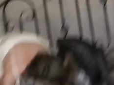 Девушки пританцовывая показывают свои молодые сексуальные тела