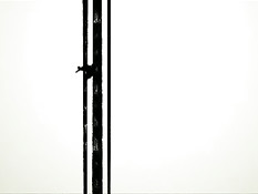 Бесстрашные девушки путешествуют голышом по городским улочкам