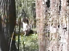 Сокрытые от глаз