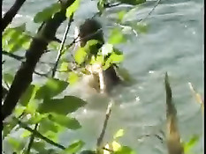 Сокрытые от глаз