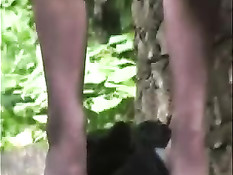 Сокрытые от глаз