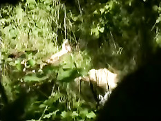 Секреты дамского интима