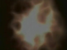 Рваные попки