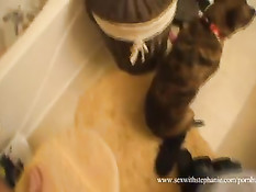 Девка с пирсингом в языке вылизывает и дрочит руками член и яйца