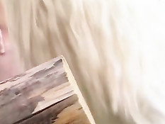 Барская охота