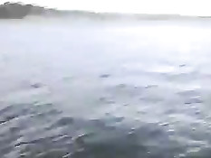 Приватное порно видео актрисы Памелы Андерсон и её мужа Томми Ли