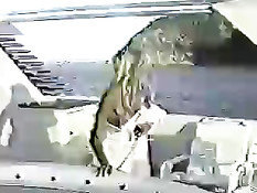 Приватное порно видео актрисы Памелы Андерсон и её мужа Томми Ли