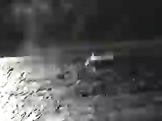 Приватное порно видео актрисы Памелы Андерсон и её мужа Томми Ли