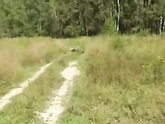 Половой внедрёж