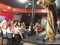 Собравшиеся в клубе дамы занимаются оральным сексом с танцором
