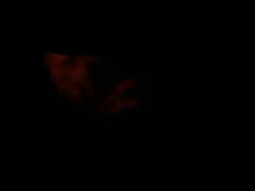 Ребята на кровати занимались совместной дрочкой и отсасывали член