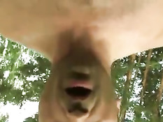 Сэр Дэвид и половое возмездие