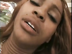 Здоровый чёрный парень жёстко отжарил мулатку в разных позициях