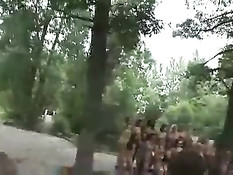 Огромная компания голых девчонок собралась на фотосессию в лесу