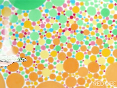 Супер сексуальная детка делает парню минет чтобы отвлечь от компа