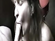 Ласковая женщина старательно делает минет в любительском порно