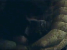 На вечеринке панк-рокеров происходит секс оргия и снимается порно