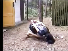 Леди в латексной одежде заставляет рабыню вылизать свои сапоги