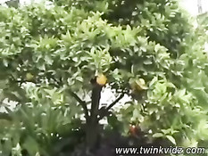 Немецкий гей сделал приятелю минет во дворе и оттрахал в задницу