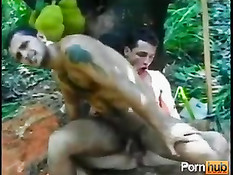 Молодые геи пахали на плантации, а в перерыве занимались сексом