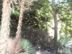 Лес - это очень хорошее место, чтобы заняться сексом с любовницей