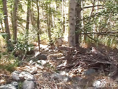 Лес - это очень хорошее место, чтобы заняться сексом с любовницей