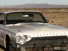 Сисястые девушки приехали за город на машинах чтобы потрахаться