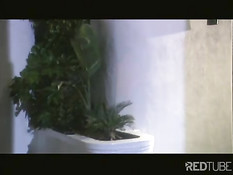 Lesbian pussylicking