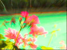 Hot lesbians are having fun