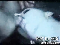 Incredible home orgy