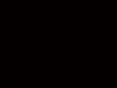 Textbook Pussies 3 / Дневник Кисок 3