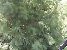 Симпатичная девчонка Misha Cross подставила анус большому члену