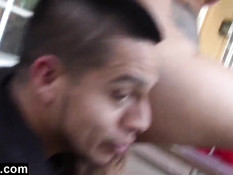 Развратные студентки колледжа всегда готовы отсосать и трахаться