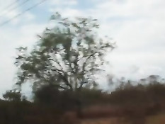 Блондинка Emma Lovett отвезла парня за город чтобы потрахаться