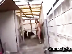 Пока никого нет девушка раздевается в коридоре и отсасывает член