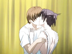 Паренёк хорошенько отодрал раком двух грудастых хентай подружек