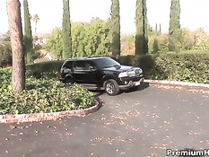 Vanessa Lane на поляне занимается анальным сексом с незнакомцем