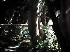 Порноактриса Linda Lovelace делает минет в фильме Глубокая глотка