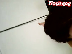 Грудастая девчонка в стрингах отсасывает член и облизывает яйца