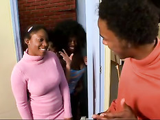 Негр поставил раком мулатку и вставил в пизду свой длинный член