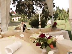 Жених и невеста вместе с гостями занимаются любовью на свадьбе