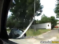 Парень прокатил на машине венгерскую девку и трахнул на обочине