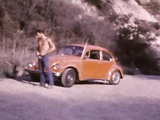 Мужчины геи из ретро порно фильма занимаются сексом на природе