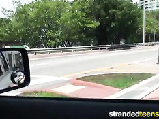 Парень подвозит молодую блондинку и трахает в своём автомобиле