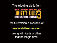 Чёрная и белая пары трахаются на межрасовой вечеринке свингеров