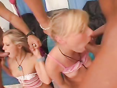 Milk Junkies / Молочные брызги