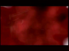 Девушке спец агенту часто приходится заниматься групповым сексом