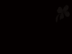 Две весёлые девчонки делают парню футджоб и получают сперму