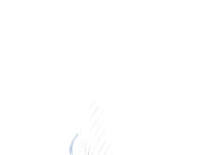 Чернокожая тёлка в сетчатом белье Vanessa Blue трахается с белым